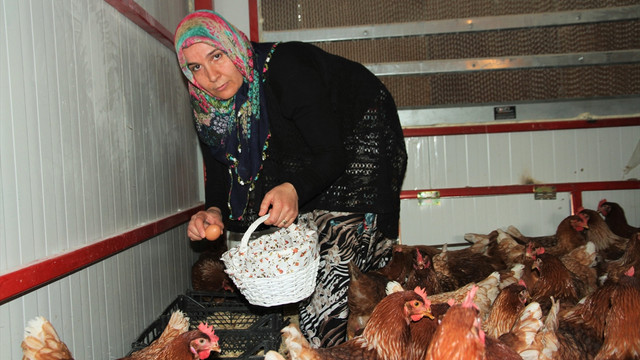 Devlet desteğiyle hayalindeki çiftliğe kavuştu