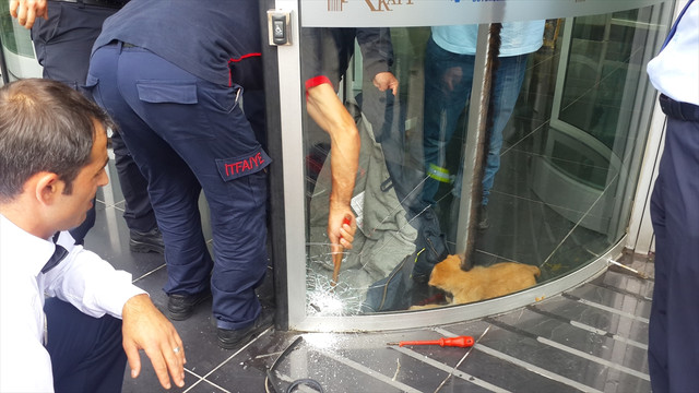 Kocaelinin İzmit ilçesinde döner kapıya sıkışan sahipsiz yavru köpeği itfaiye kurtardı
