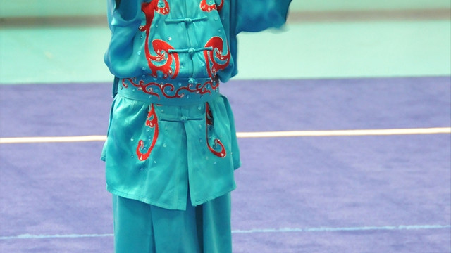 Dünya Gençler Wushu Şampiyonası