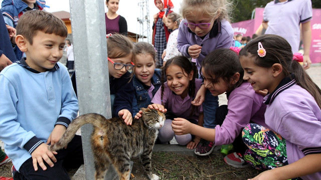 Dünya Hayvanları Koruma Günü