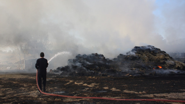 Edirne'de çiftlik yangını