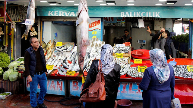 Elazığ'da dev turna balığı yakalandı