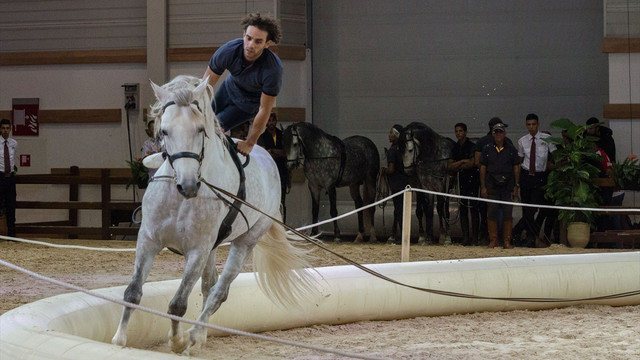 Fas’ta At ve Binicilik Fuarı