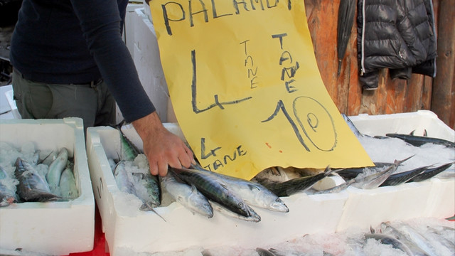 Giresun'da palamudun fiyatı 2,5 liraya düştü