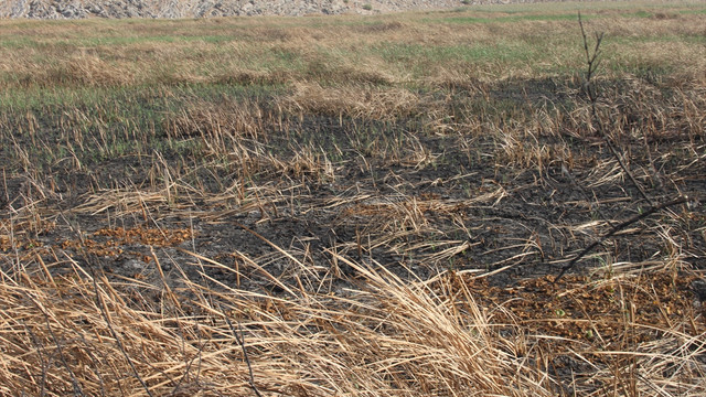 Hatay'daki Gölbaşı Gölü'nün büyük bölümü kurudu