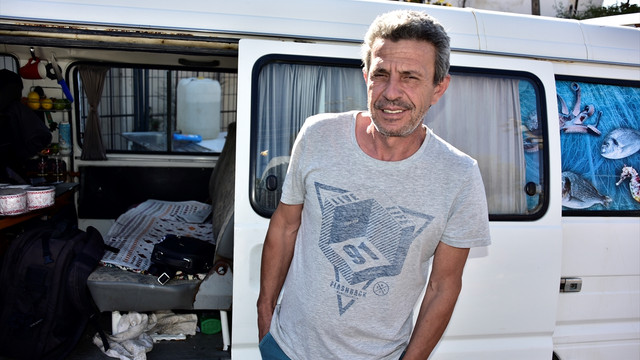 İlçe merkezine inen domuzları elleriyle besliyor