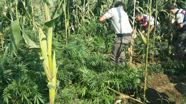 İzmir'de uyuşturucu operasyonu