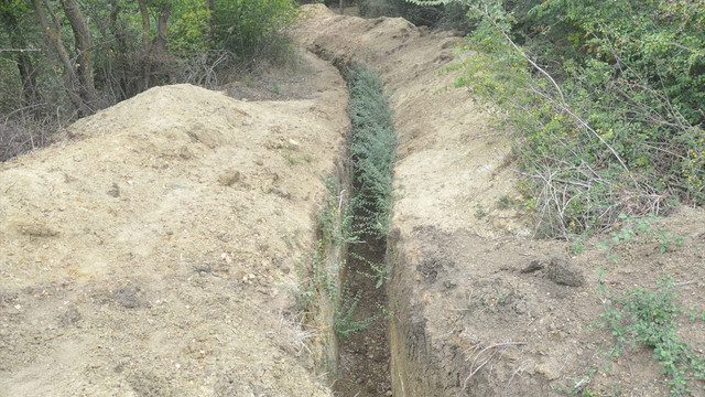 Jandarma hatıra ormanında define arama iddiası