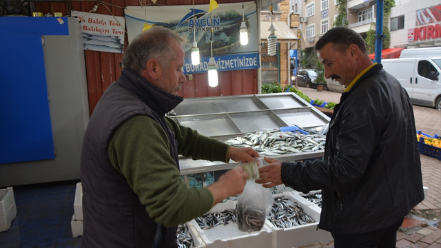 Karadeniz hamsisi tezgaha düştü