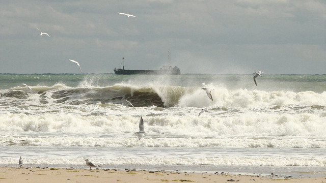 Karadeniz'de ulaşıma lodos engeli