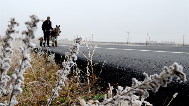 Kars'ta soğuk hava ve sis
