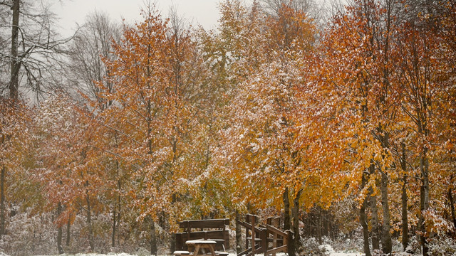 Kartepe'ye mevsimin ilk karı yağdı