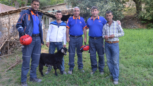 Kayalıkta mahsur kalan keçiyi AFAD ekibi kurtardı