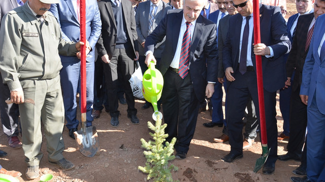 Kayseri'de yaşlılar için Huzur Sokağı