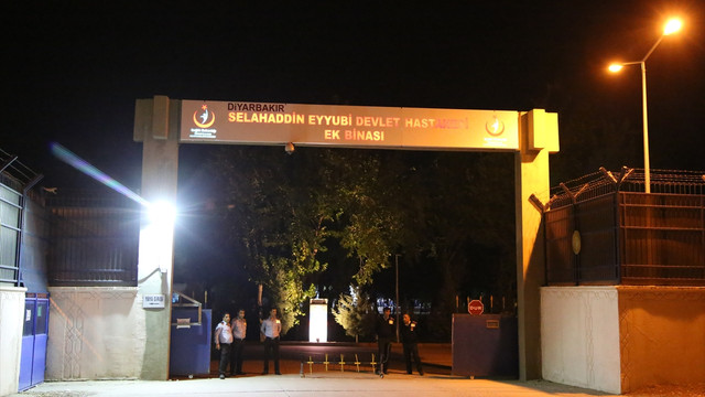 Lice'deki terör saldırısı