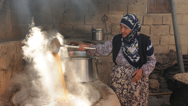 Mardin'de bağ bozumu zamanı