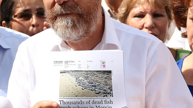 Mersin'de çok sayıda ölü balık bulunması