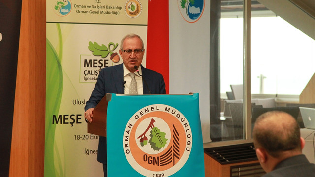 ''Meşe Çalıştayı''