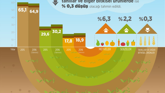 Meyve ve sebze üretiminde artış bekleniyor