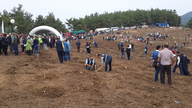 Mudanya yangınının izlerini sildik