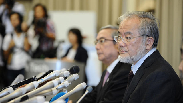 Nobel Tıp Ödülü Japon bilim adamı Ohsumi'nin