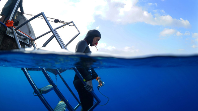 Şahika Ercümen'den yeni dünya rekoru