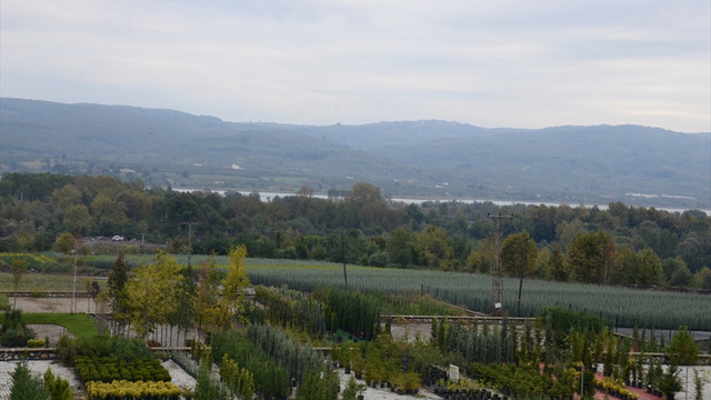 Orman ve Su İşleri Bakanı Eroğlu: