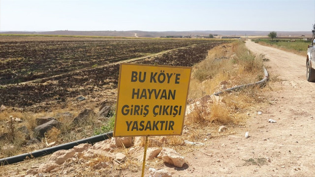 Siverek'te kuduz karantinası