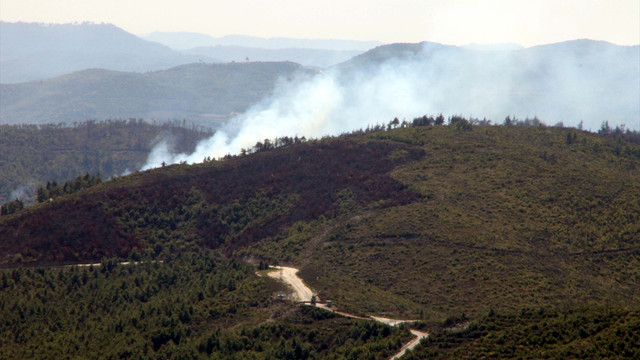 Suriye sınırındaki orman yangını