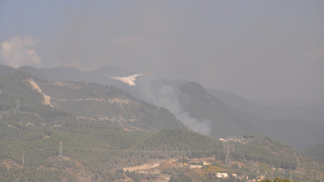 Teröristler orman yangını çıkardı