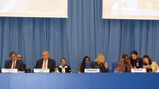 Viyana'da Sınır Aşan Örgütlü Suçlarla Mücadele Konferansı