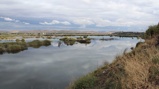 Yeni sulak alanlar tespit edildi