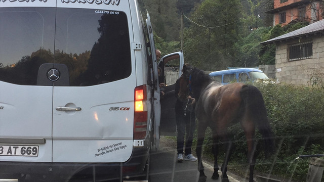 Yola çıkan sahipsiz at sürücülere zor anlar yaşattı