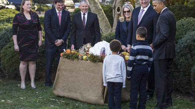 Obama, başkan olarak son kez hindi affetti