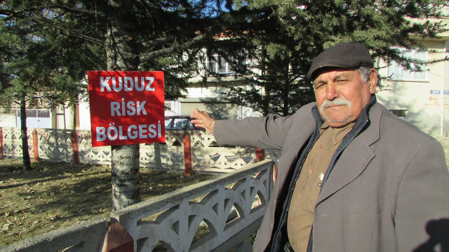 Afyonkarahisar'da kuduz karantinası