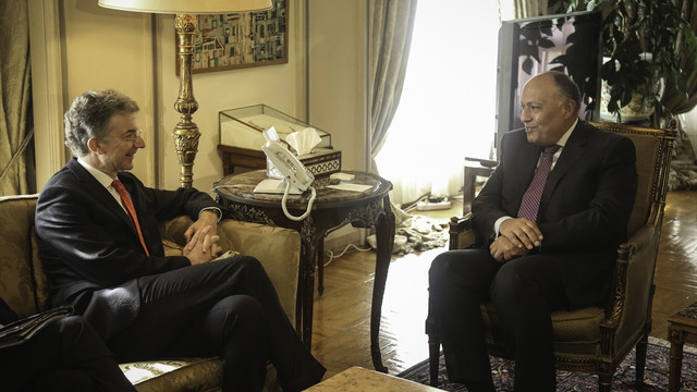 Mısır Dışişleri Bakanı Şukri: