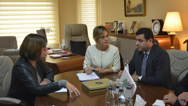 AP Yeşiller Grubu'ndan HDP'ye ziyaret