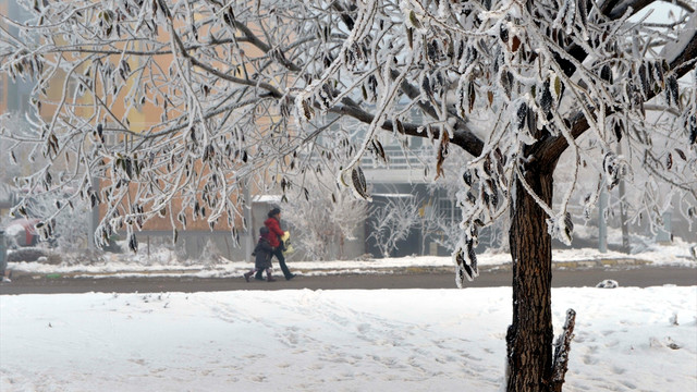 Doğu'da soğuk hava