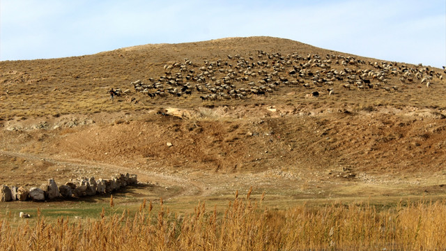 Besiciler, zorlu kış mesaisine başladı