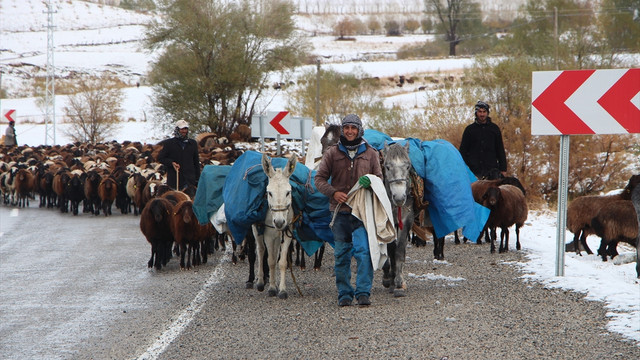 Besicilerin sıcak bölgelere zorlu yolculuğu