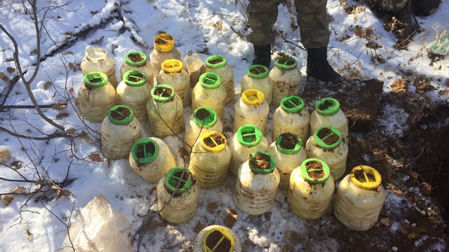 Bingöl'de terör operasyonu