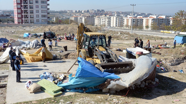 Bursa'da sahipsiz at operasyonu