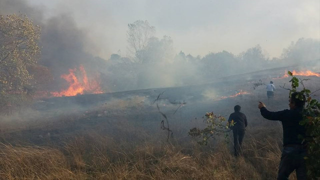 Çanakkale'de tarım arazisi yangını