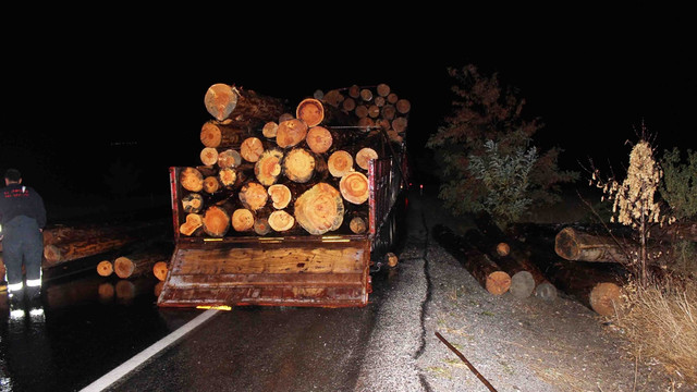 Çankırı'da tomruk yüklü tır alev aldı