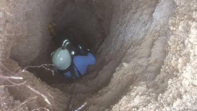 Definecilerin kazdığı çukura düşen porsuk kurtarıldı