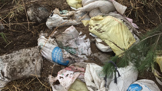 Diyarbakır'da terör operasyonu