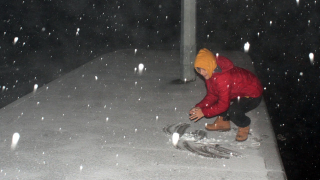 Doğu Anadolu'da kar yağışı