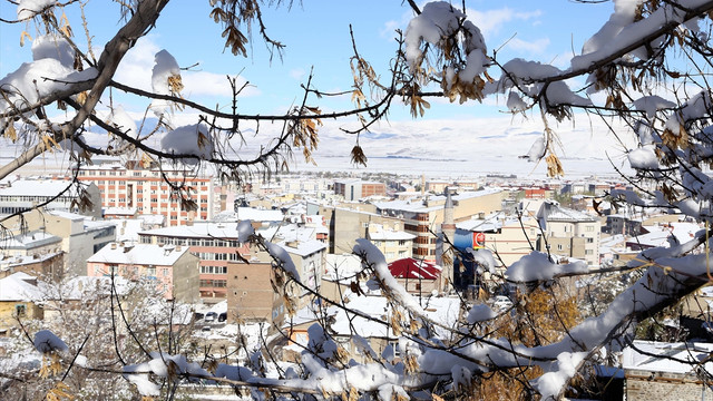 Doğu'da dondurucu soğuklar başladı