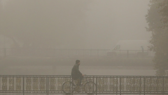 Düzce'de yoğun sis