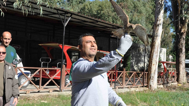 Eziyet edilen kuşlar artık özgür